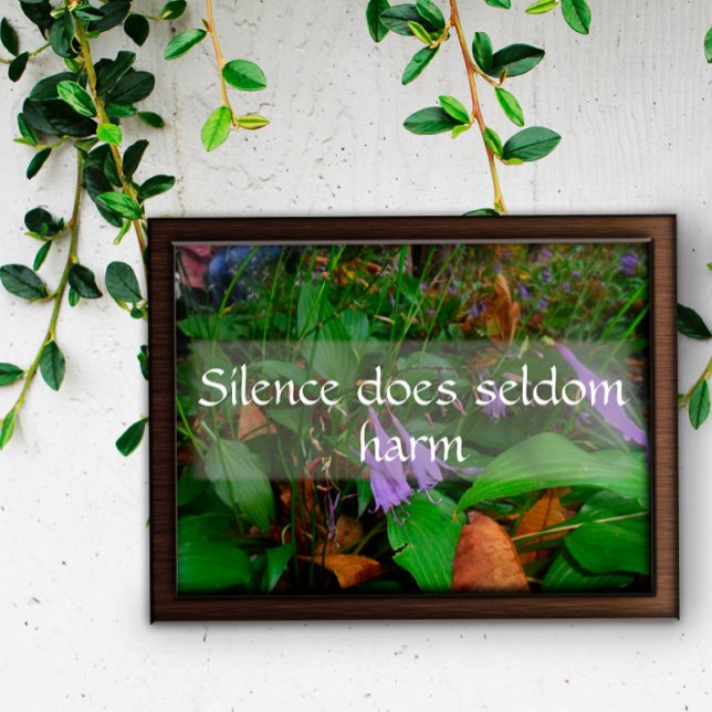 Silence does seldom harm wisdom saying poster (Creator Uploaded)