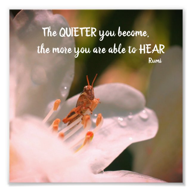 Silence Inspirational Rumi Quote 8x8 Photo Print (Front)