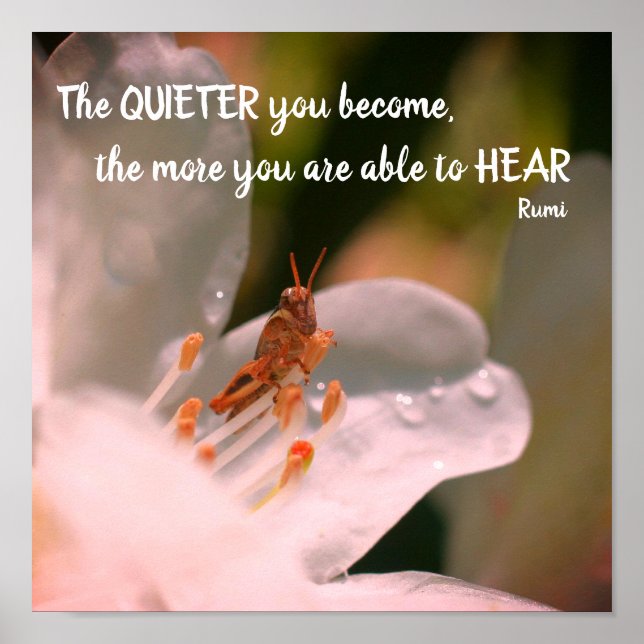 Silence Inspirational Rumi Quote  Poster (Front)