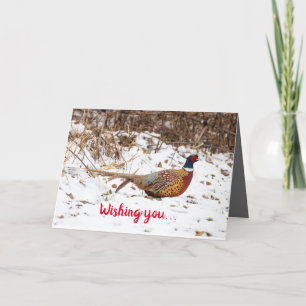 Silence Merveille Pheasant de carte de vacances