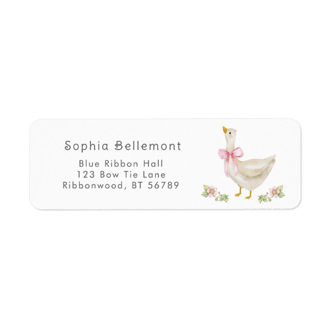 Silencieux Goose baby shower arc rose Adresse de r (Devant)