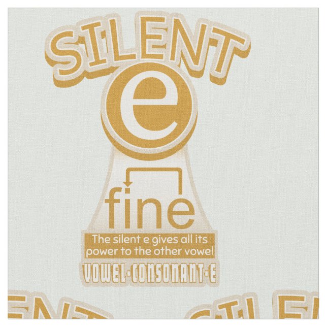 Silent E English Language Phonics Rule Fabric (Close Up)