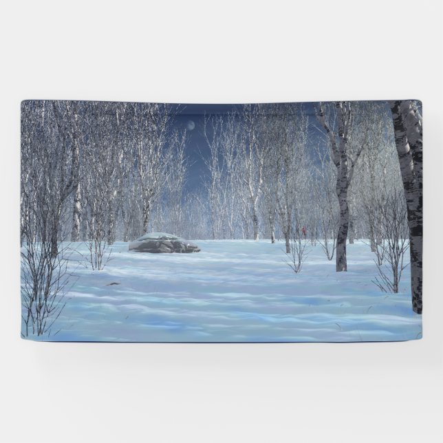 Silent Light Banner (Horizontal)