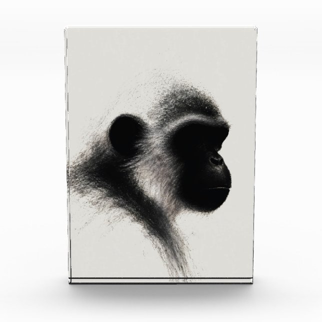 Silent Observer Primate Charcoal Study Photo Block (Front)
