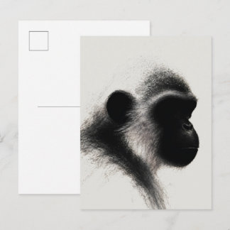 Silent Observer Primate Charcoal Study Postcard