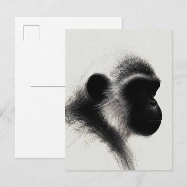 Silent Observer Primate Charcoal Study Postcard (Front/Back)