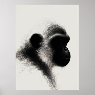Silent Observer Primate Charcoal Study Poster