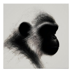 Silent Observer Primate Charcoal Study Poster