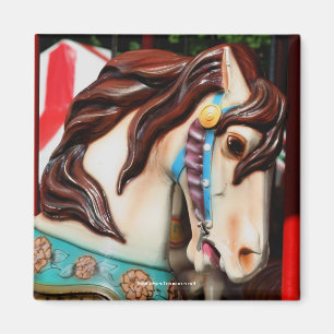 Silent Steed Carousel Horse Photography Magnet