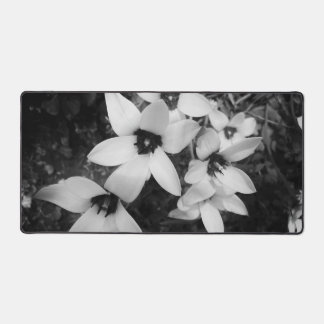 Silent Symmetry Desk Mat