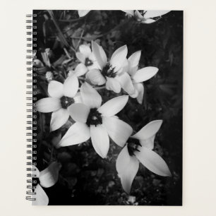 Silent Symmetry Planner