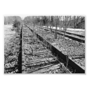 Silent Tracks 7x5 Black and White Photographic Pri Photo Print