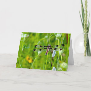 Silent wonders blank greeting card Dragonfly