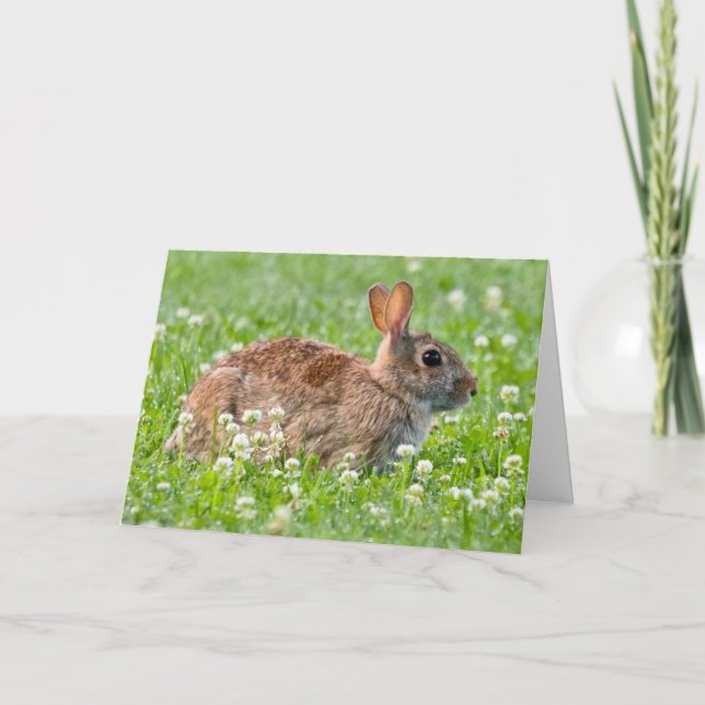 Silent wonders blank greeting card Rabbit (Front)