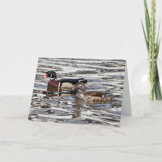 Silent wonders blank greeting card Wood Ducks (Front)