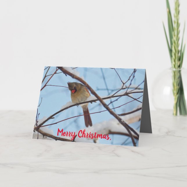 Silent Wonders Carte de Noël Femme Cardinal (Devant)