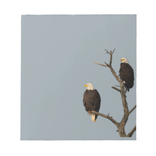 Silent Wonders Notepad Bald Eagles