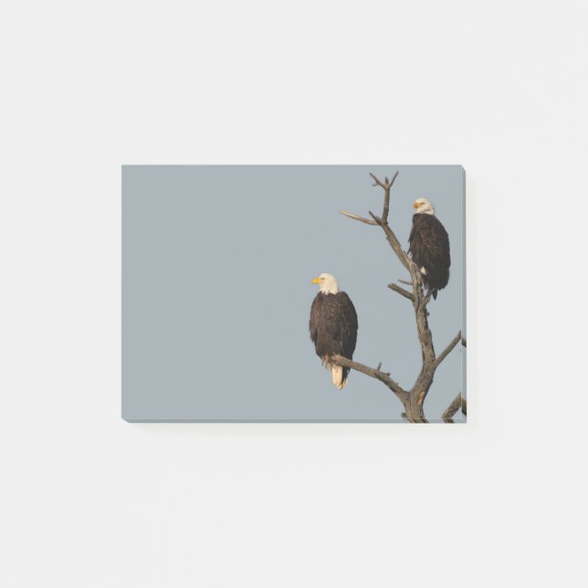 Silent Wonders Post It Notes Eagles (Front)