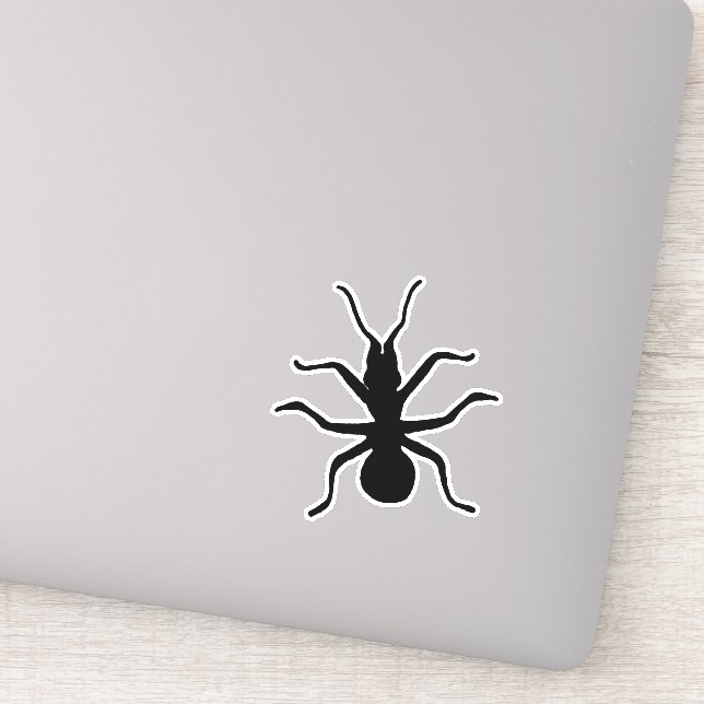 Silhouette Big Black Crawling Ant Insect (Detail)