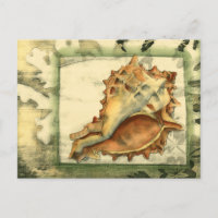 Silhouette Conch Shell