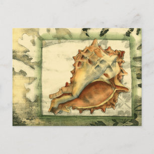 Silhouette Conch Shell Postcard