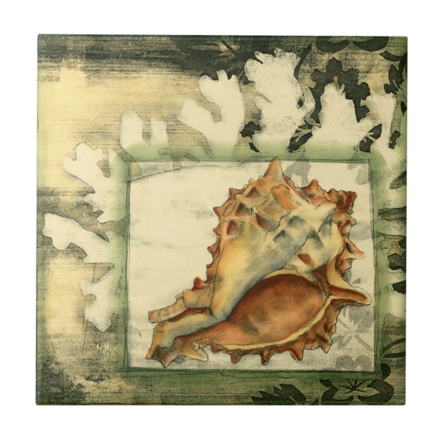 Silhouette Conch Shell Tile (Front)