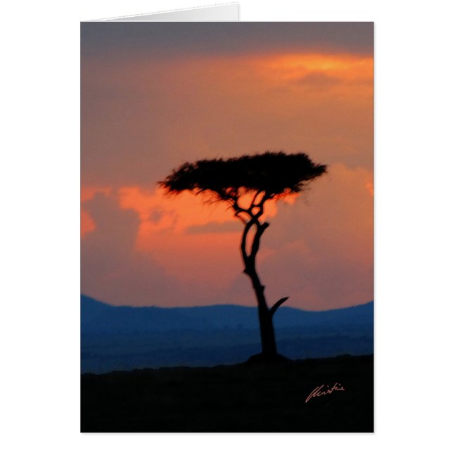 Silhouette d'arbre et coucher du soleil, carte de (Devant)