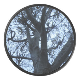 Silhouette de l'arbre photo Camion de hockey