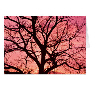 Silhouette de l'Arbre Soudé du soir