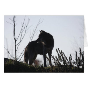 silhouette de loup