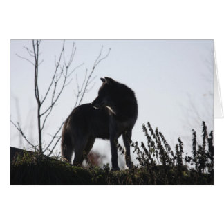 silhouette de loup