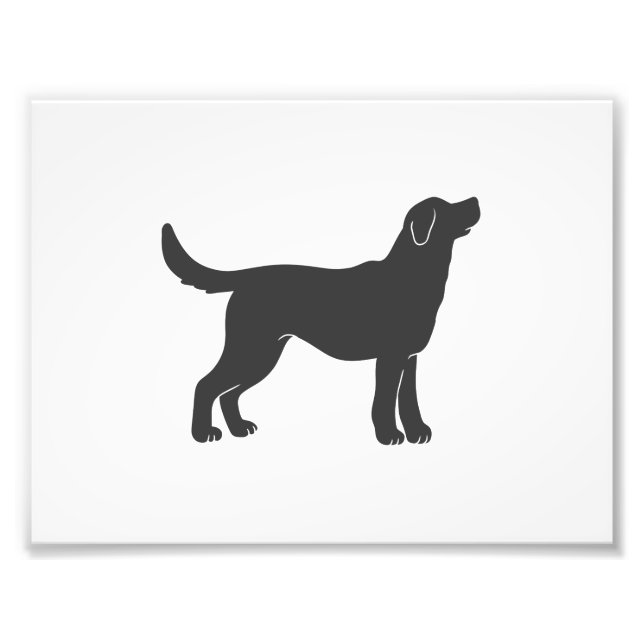 Silhouette dog standing - Choose background colour Photo Print (Front)