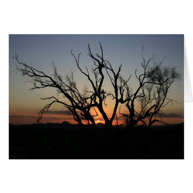 Silhouette du coucher de soleil (Devant horizontal)