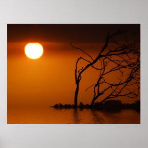 silhouette du soleil couchant Poster
