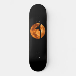 Silhouette d'un chat noir dans un skateboard d'arb