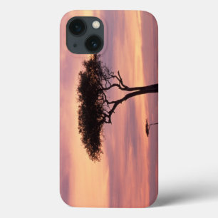 Silhouette image of acacia tree at sunrise iPhone 13 case