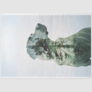 Silhouette Lab Exposed Film Decoupage Tissue Paper