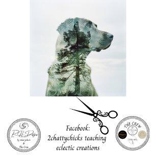 Silhouette Lab Exposed Film Decoupage  Tissue Paper