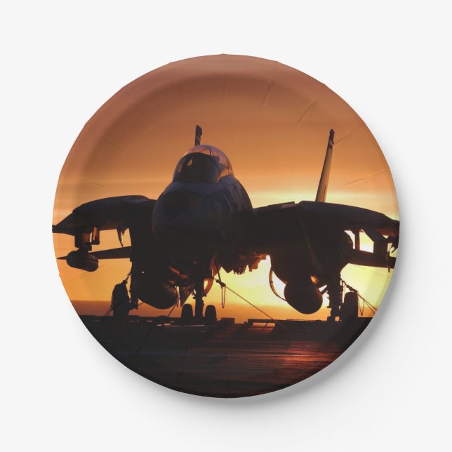 Silhouette military jet fighter paper plate (Front)