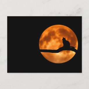 Silhouette of a Black Cat in a Tree Postcard