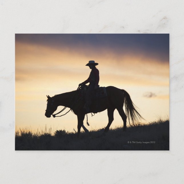 Silhouette of a Cowgirl on her horse against the Postcard (Front)