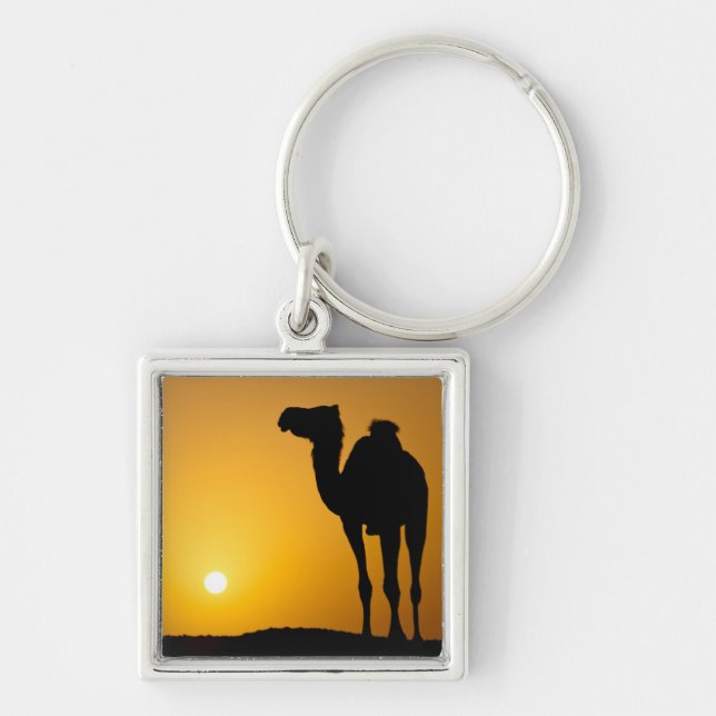 Silhouette of a wild camel at sunset keychain (Front)