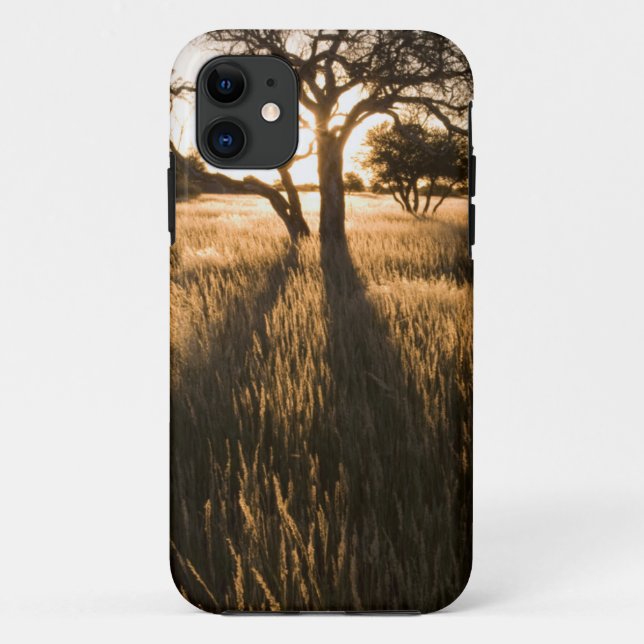 Silhouette Of Acacia Trees In Grass. Mariental Case-Mate iPhone Case (Back)