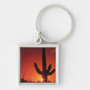 Silhouette of cactus at dusk , Saguaro National Keychain