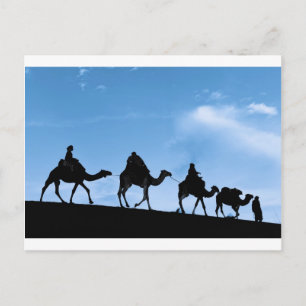 Silhouette of Camel Caravan Postcard