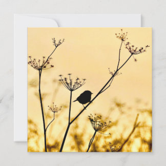 Silhouette of chickadee perched against gold light card