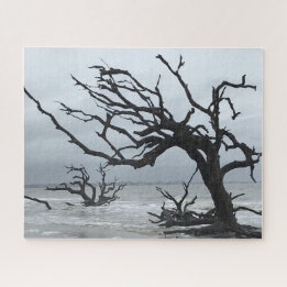 Silhouette of dead tree at Jekyll Island Jigsaw Puzzle