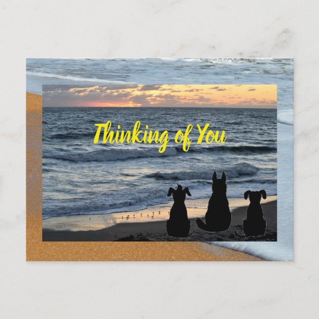Silhouette of dog at ocean surf postcard (Front)
