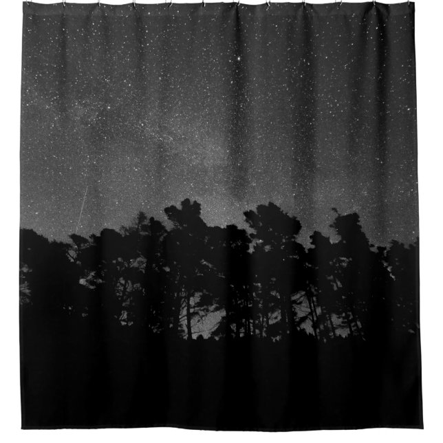 SILHOUETTE OF FOREST DURING NIGHTTIME (Front)
