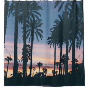 Silhouette of houses beside palm trees and pathway